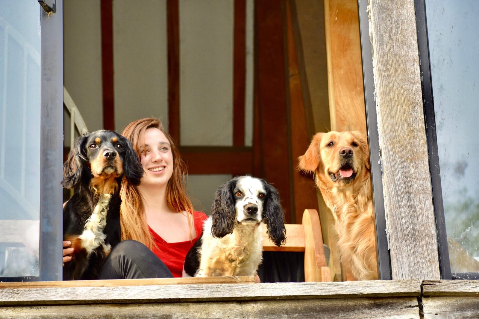 Bethany Bell sitting with three dogs in a doorway