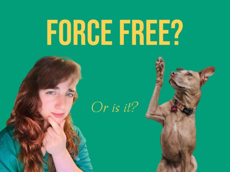 Force-Free? Or Misleading Terminology?